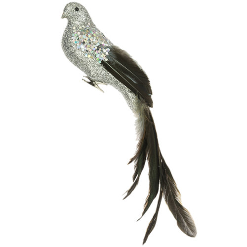 Silver Long Tail Bird