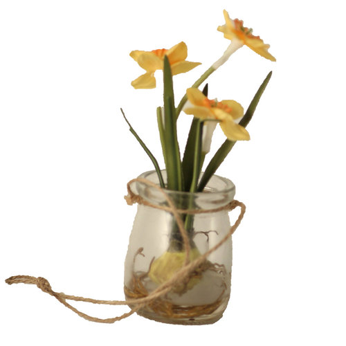 Daffodil in Jar