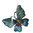 Petrol Blue Acrylic Butterfly