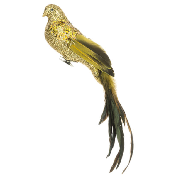 Gold Long Tail Bird