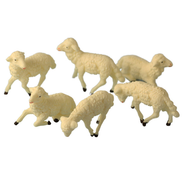 Sheep for Nativity